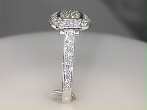 AZ00036-shank.jpg