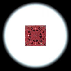 IS_AGS9612804.jpg