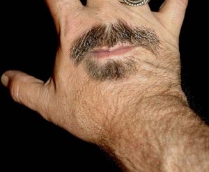 handtomouth.jpg