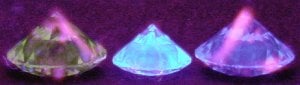 FluorPavUpFtYelMedBlFtBl.jpg