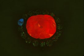 WebExtra011108pic2.jpg