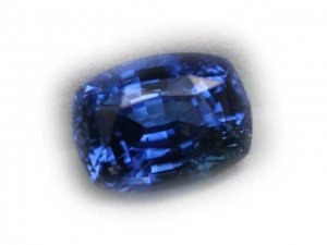 bluecns324-4.jpg
