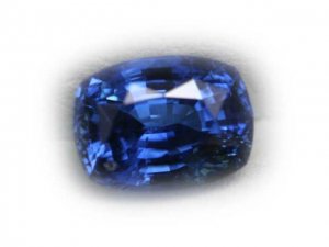 bluecns324-3.jpg