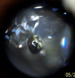 100_1595-b_13_1.jpg