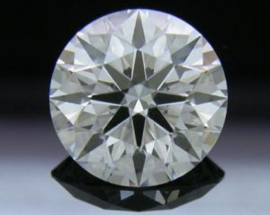 DI40X_AGS9493407.jpg