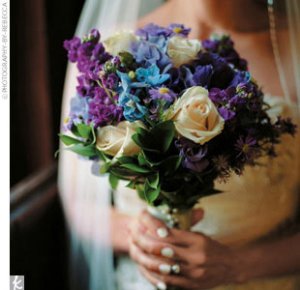 Purple and BlueGYPS.jpg