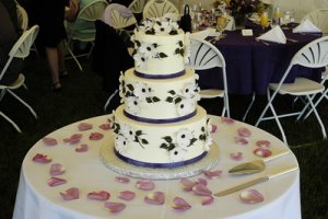 cakepurple.jpg