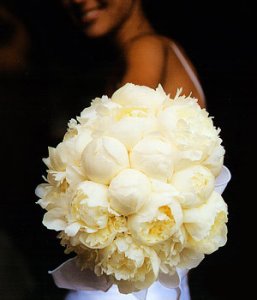 3c724d05932090b21420cd0cc1e5885f.jpg