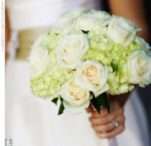 roses_hydrangea.jpg