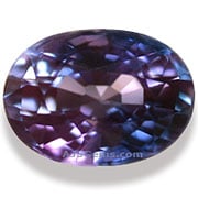SPU-00025-l.jpg