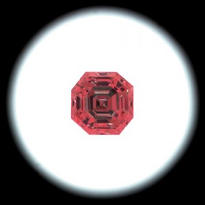 IS_EGL_T28017501.jpg