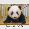 panda08new.jpg