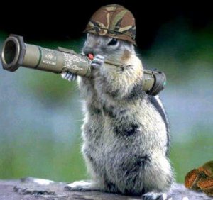 army_squirrel.jpg