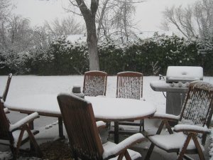 IMGSnow0581.JPG