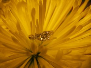 FLOWER &  RING 014.jpg