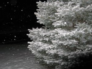 IMGsnow5174.JPG