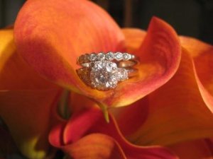 Rings in calla.jpg