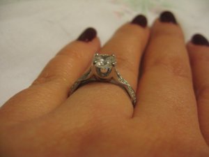 IMG_1283profile.JPG