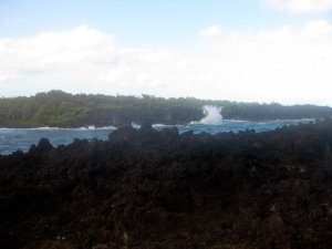 IMG_6348.jpg