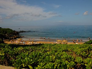 IMG_6382.jpg