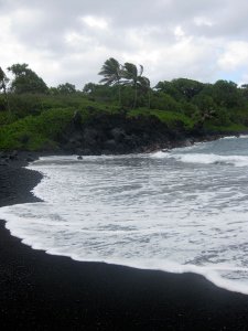 IMG_6252.jpg