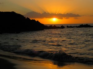 IMG_7141.jpg