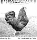 chickens.jpg