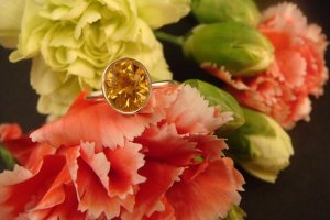 beryl pillbox ring 051rs.JPG