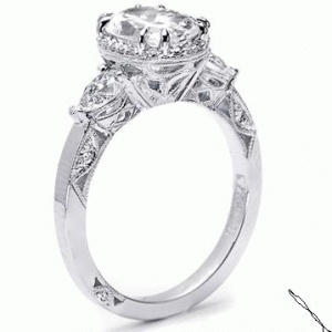 ring sidebgman.gif