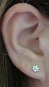 earshot12345678.jpg