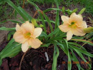 xPicture 791.jpg