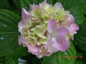 xPicture 792.jpg