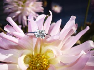ring222093862.jpg
