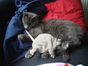 sleepingmomo.JPG