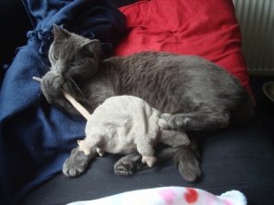 stinkypaws.JPG