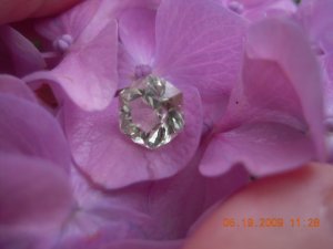 xPicture 931.jpg