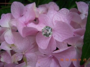 xPicture 922.jpg