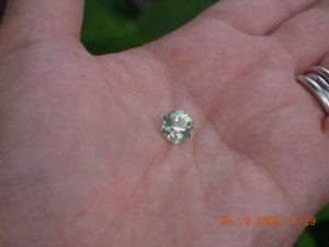 xPicture 932.jpg