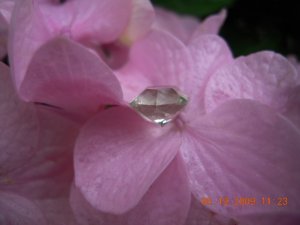 xPicture 920.jpg