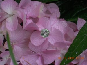 xPicture 924.jpg