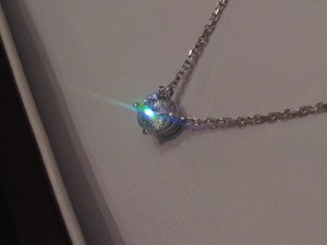 IMG_2902f.JPG