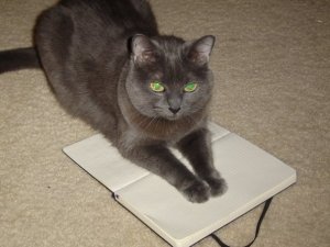 Lola Thinks I Cant Write Anymore.jpg