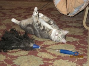 Lilly and sleeping bag.jpg