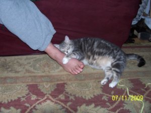 Lilly sleeping on foot.jpg