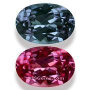 ccgarnet122.jpg