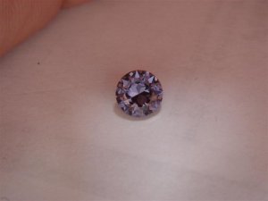 DSC05203 (Medium).JPG