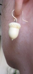 ivoryacornear1.jpg