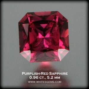 SAP003.jpg