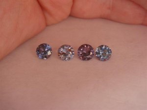 DSC05231 (Medium).JPG