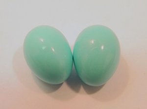 TurquoiseBriolettesPair.jpg